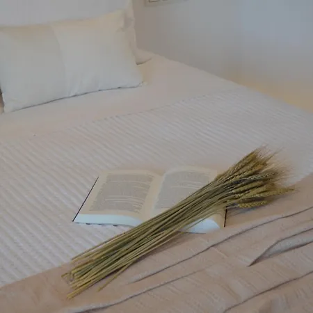 Apartamento Anemos Town *